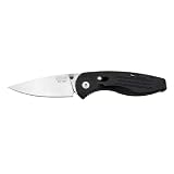 SOG Specialty Knives & Tools AE-21 Mini Aegis, 3-Inch Straight Edge Folding Knife, Satin (Tools & Home Improvement)