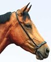 Drop noseband, English - Large (full) Black