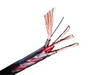 Monster 304 XLN Speaker Cable (4-Conductor, 25 feet)