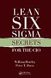 Lean Six Sigma Secrets for the CIO