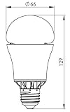 Produkt-Bild: LED Birne LEDON 10W warmwei&szlig; A65 600lm 2700K Rundstrahler