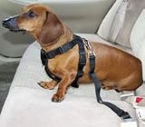 Car Safety Harness - Extra Small