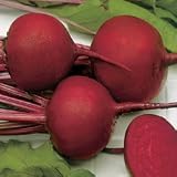 Beet Seeds - Beet Detroit Dark Red