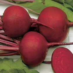 Beet Seeds - Beet Detroit Dark Red