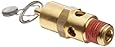 Control Devices SA Series Brass ASME Safety Valve, 165 psi Set Pressure, 1/4" Male NPT