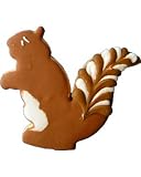 Beautiful Cookies Organic Party Favors-Squirrel Organic Cookies Cookies, 10 Cookies