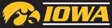 Iowa Hawkeyes New 8 Ft Tailgate Banner Flag