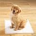 WEE PUPPY REGULAR UNDERPADS ABSORBENT 23X36 150/ CASE - COMES 3 BAGS OF 50