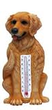 Outdoor Living : Golden Retriever Thermometer