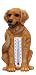 golden_retriever38golden retriever - Golden Retriever Thermometer