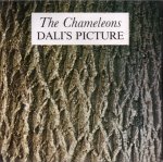 Dalis Picture