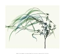 Wind Art Poster Print by Steven N. Meyers, 12x10