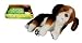All Products : Wow Wee International Ltd. Beagle Puppy