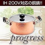 プログレス　両手鍋20cm　IH-002