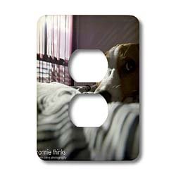 VWPics Nano Calvo Photography Dog - 6 month puppy in bed at sunrise - Light Switch Covers - 2 plug outlet cover