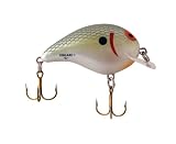 Bomber Square A Lure (Tennessee Shad, 2-Inch)