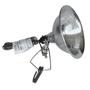 Prime CL050506 Reflector Clamp Lamp with 6-Feet 18 2 SPT-2 Cord, 8.5-Inch by Prime