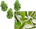 Gummi Frogs [5LB Box]