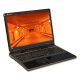 Gateway P-173XL FX Edition Notebook PC - Intel Core 2 Duo T8300 2.4GHz, Bluetooth, 802.11a/b/g/n Wireless, 4GB DDR2, 400GB HDD, DL DVDRW, 17" WUXGA, Fingerprint Reader, Webcam, Windows Vista Ultimate