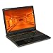 Gateway P-173XL FX Edition Notebook PC - Intel Core 2 Duo T8300 2.4GHz, Bluetooth, 802.11a/b/g/n Wireless, 4GB DDR2, 400GB HDD, DL DVDRW, 17" WUXGA, Fingerprint Reader, Webcam, Windows Vista Ultimate