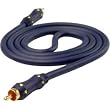 Bronze Level 300 Series Composite Video Cable