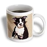 Dogs Boston Terrier - Boston Terrier - Mugs