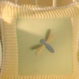 The Frog Prince Decorator Pillow - Dragonfly
