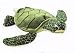 Plush Green Sea Turtle 14