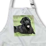 Dogs NewFoundLand - Newfoundland - Aprons