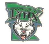 Minnesota Lynx WNBA City Pin