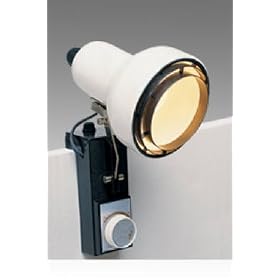 Click here to buy White Bed Lamp With Dimmer by GRANDRICH CORP.