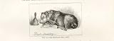 Landseer Sketch The Dustmans Dog 1816