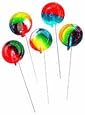 DiabeticFriendly&reg; Sugar Free Rainbow Tye Dye Tutti Fruiti Flavored Lollipops (Individually Wrapped/lb) 83 Per Pound!