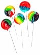 Sugar Free Rainbow Tye Dye Tutti Fruiti Flavored Lollipops (Individually Wrapped/lb) 83 Per Pound!