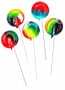 Sugar Free Rainbow Tye Dye Tutti Fruiti Flavored Lollipops (Individually Wrapped/lb) 83 Per Pound!