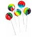 Sugar Free Rainbow Tye Dye Tutti Fruiti Flavored Lollipops (Individually Wrapped/lb) 83 Per Pound!