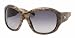 Ralph Lauren RL8007Q 50548G Sunglasses Black-Skin Beige Tejus Frame With Gray Gradien...