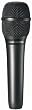 Audio-Technica AT2010 Hand-Held Condenser Microphone