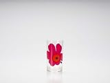 Review Zak Designs Ltd 5579-1401E / ZAK DESIGNS MARIMEKKO UNIKKO RED STRAIGHT TUMBLER 30CL 6pc