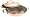 All-Clad Cop-R-Chef 10-Inch Petite Braiser Pan