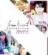 フロムハートコレクション矢口 [DVD]