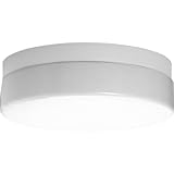 IMAGE OF Progress Lighting P7372-30 White Acrylic Diffuser UL Approved For Damp Locations Rapid Start 120 Volt Normal Power Factor Ballast, White