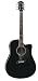 Michael Kelly Nostalgia 10 CE N10CEBK Acoustic Electric Guitar