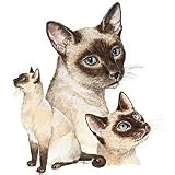 Siamese Adult T-Shirt