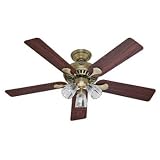 31FNpKmuFEL. SL160 Hunter 20540 Summer Breeze Plus 3 Light 52 Inch 5 Blade Ceiling Fan, Antique Brass with Clear Globes and Rosewood/Medium Oak Blades