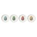 Ornithology Coaster Dish (Set of 4)