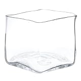 Zodax Vanguard Picasso Square Glass Vase, Small