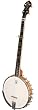 Vega #2 Banjo with Deering Tubaphone Tone Ring (5 String)