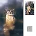 Cokin A062 Filter, A, C.spot Grey 1