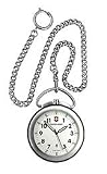 Swiss Army Men's Watch 24628
